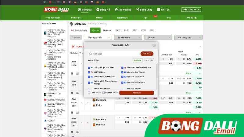 Giới Thiệu Giải Đấu VĐQG Việt Nam